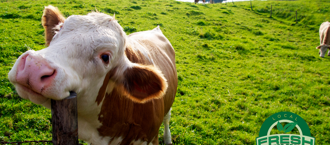 The Real Fresh Chip Company