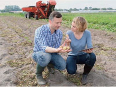 10 things you might not know about the potato