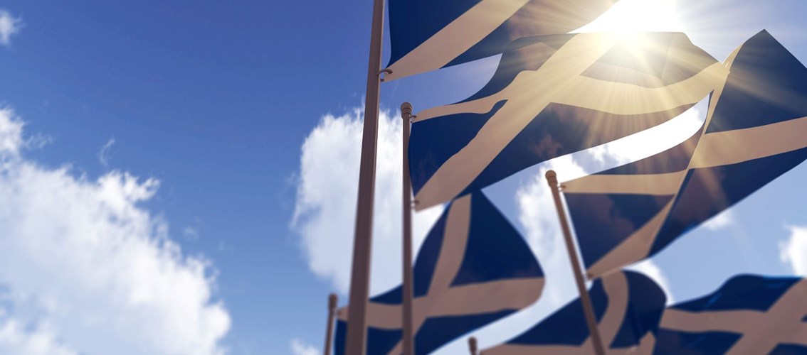 The Real Fresh Chip Company